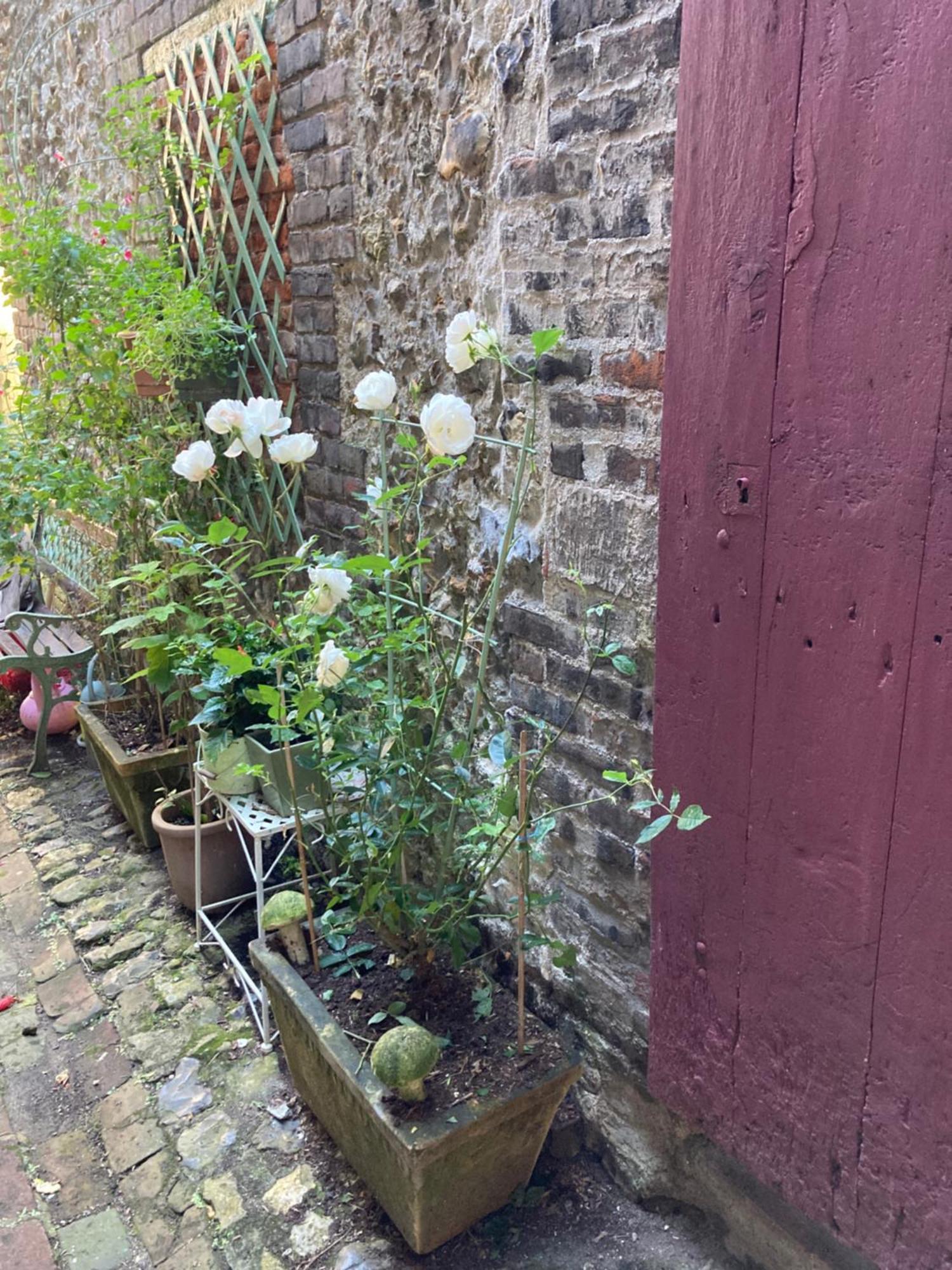 La Maison Belle Maree Honfleur Exterior foto